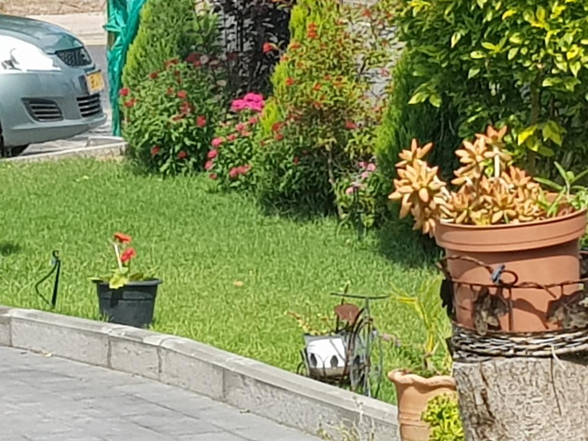 A Pastoral B & B Giv'at Ada Εξωτερικό φωτογραφία